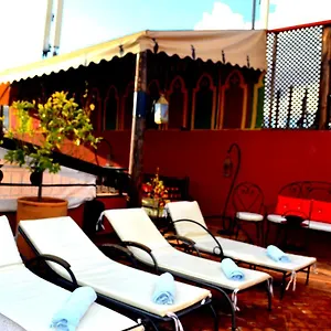 Amya & Marrakesh